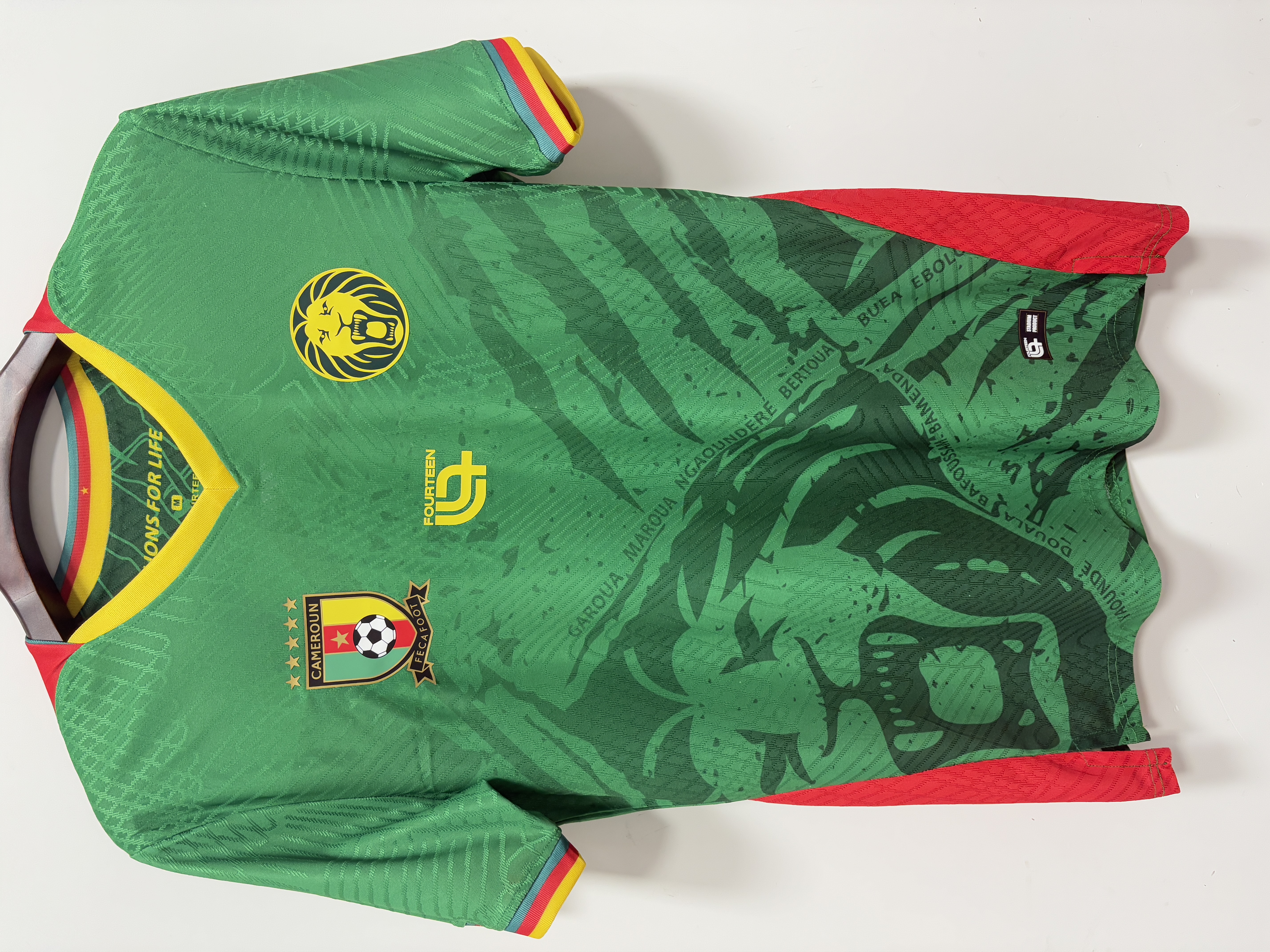 Cameroon national team jersey 25-26 season