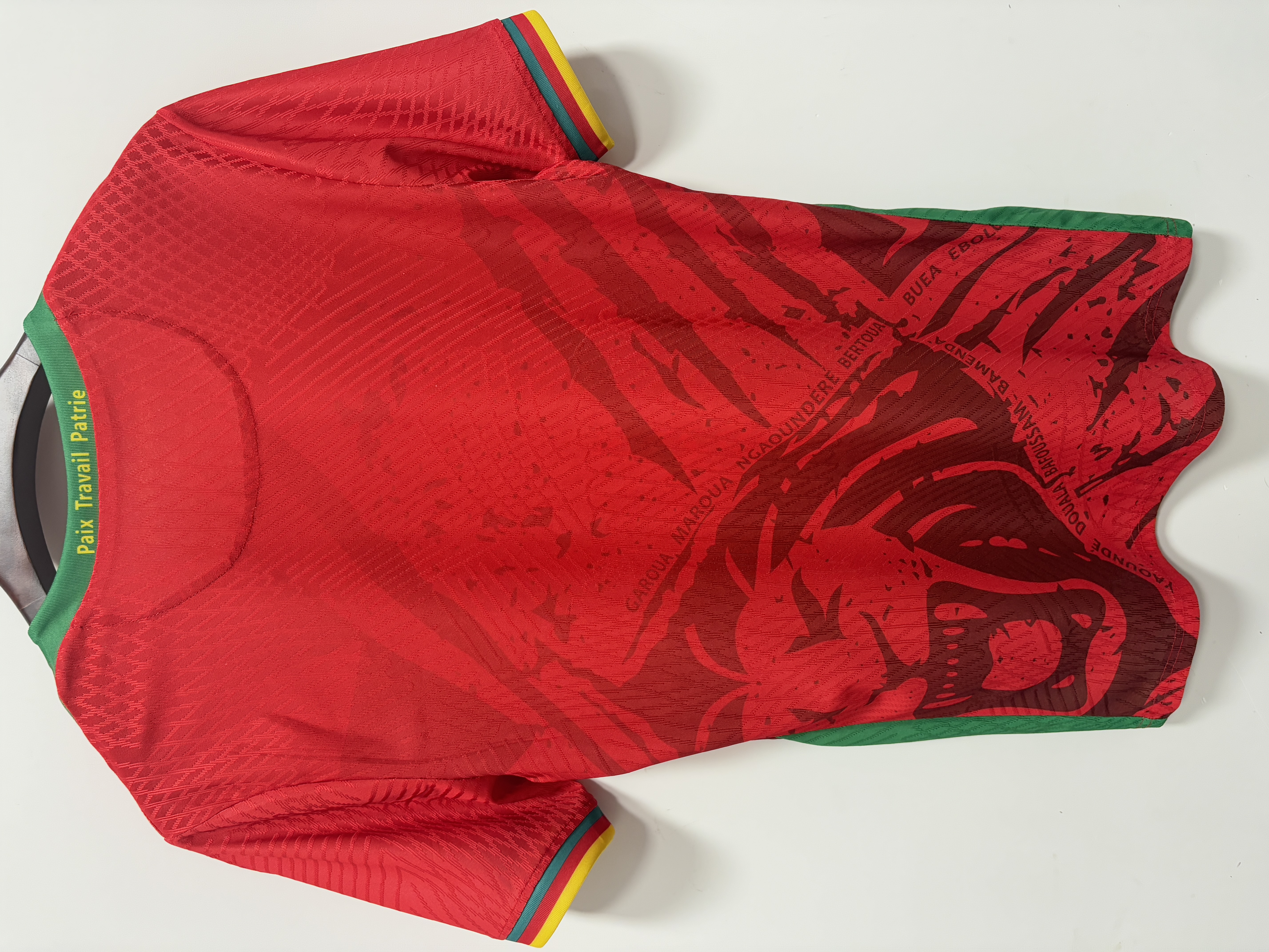 Cameroon national team jersey 25-26 season