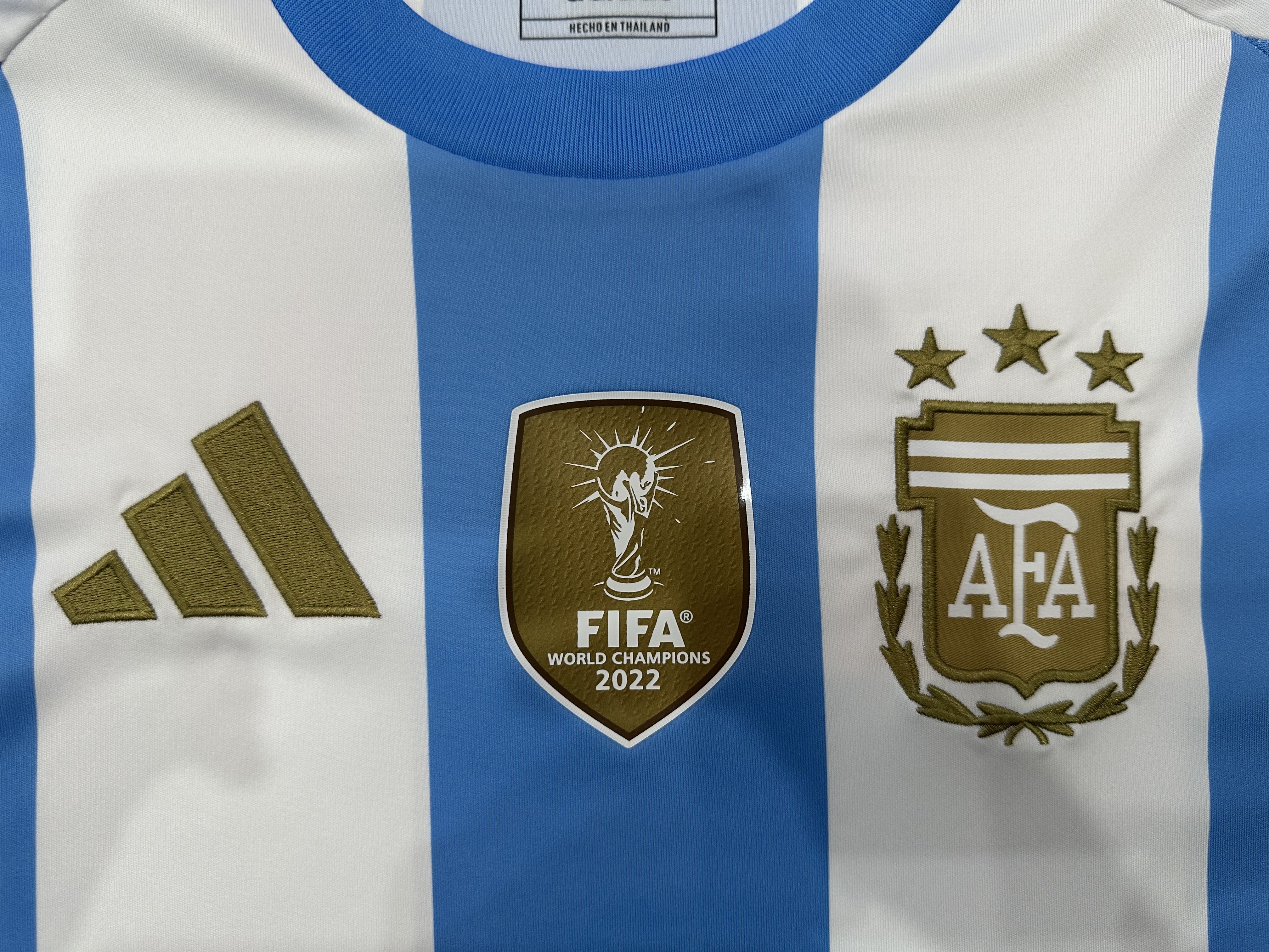 24-25 season Argentina home fans version