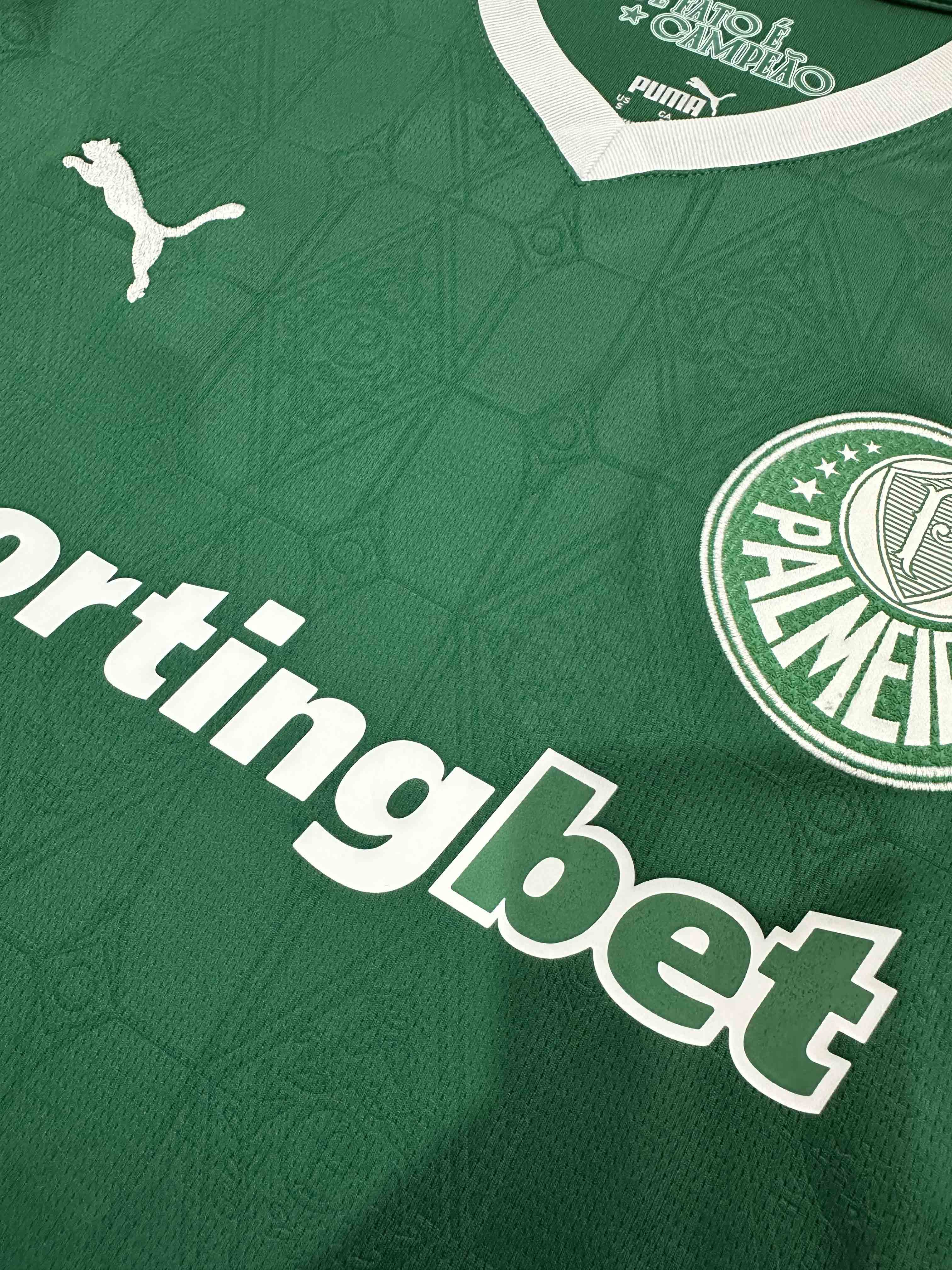 25-26 Palmeiras home game