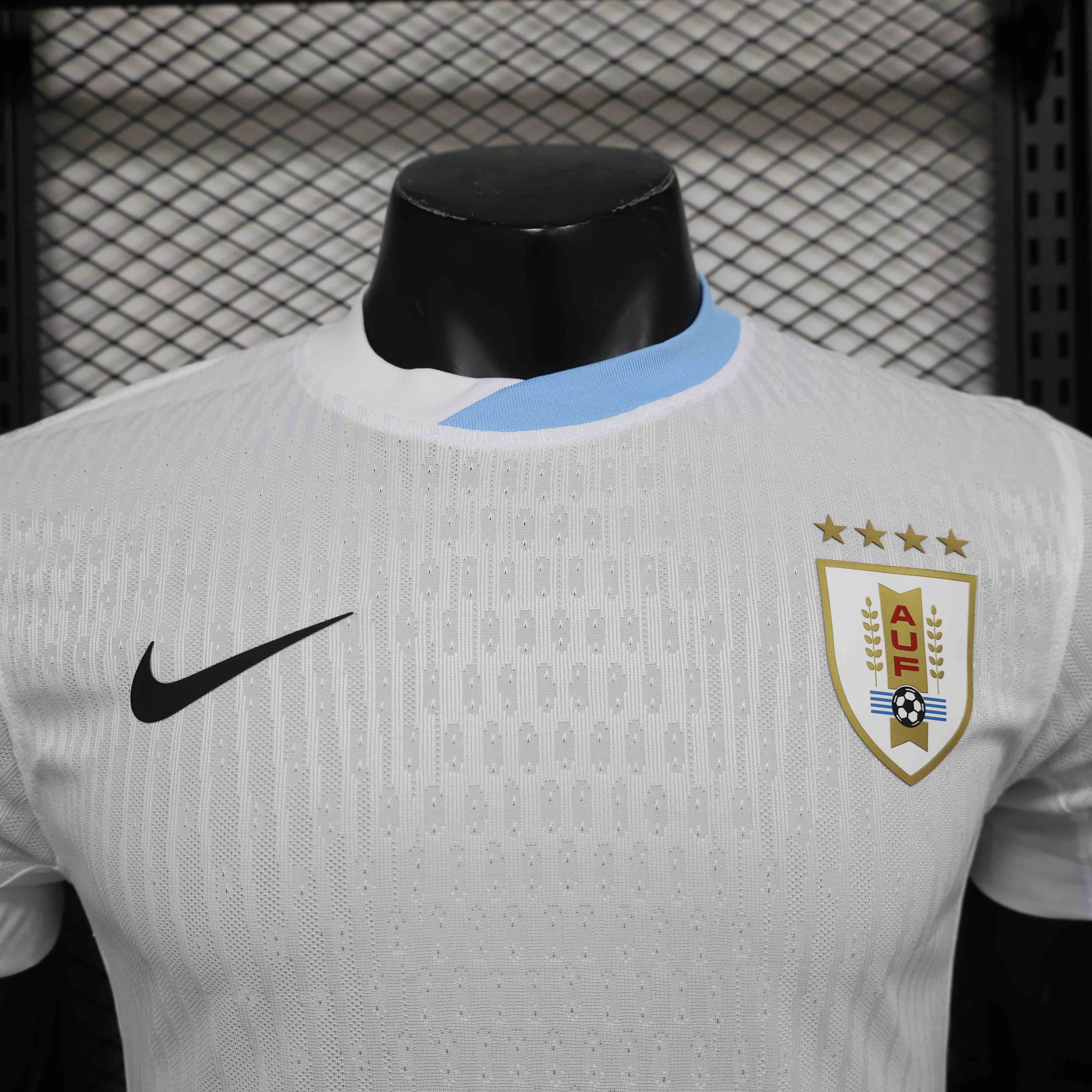 24-25 season Uruguay home jersey player version