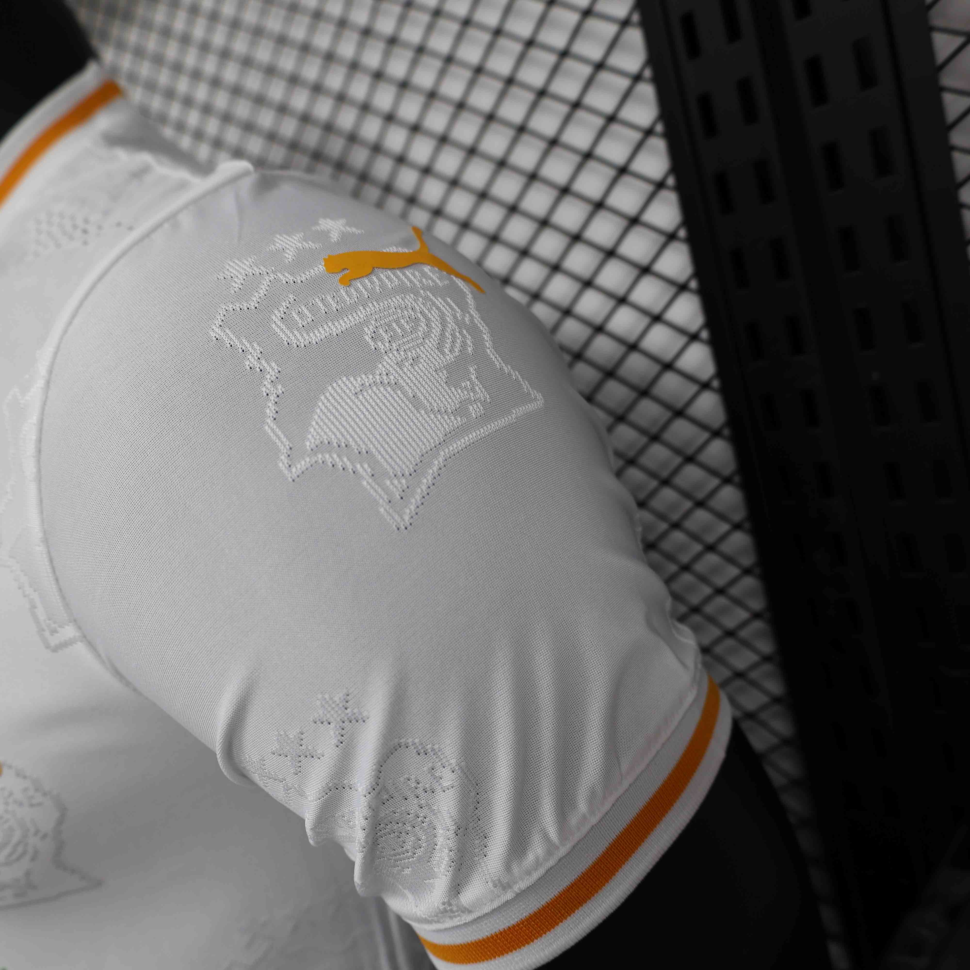 24-25 season Ivory Coast player special edition jersey