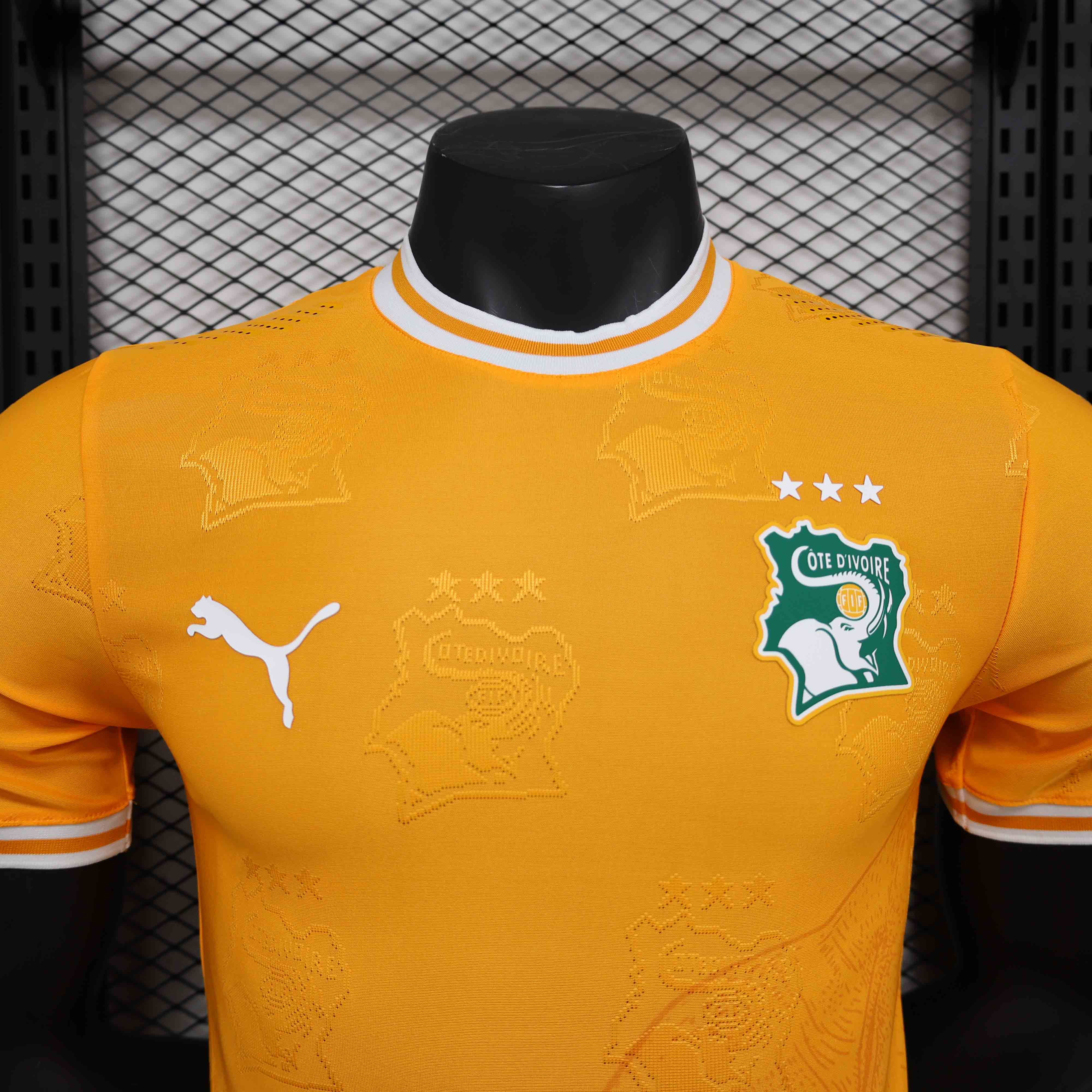 24-25 season Ivory Coast orange jersey player version