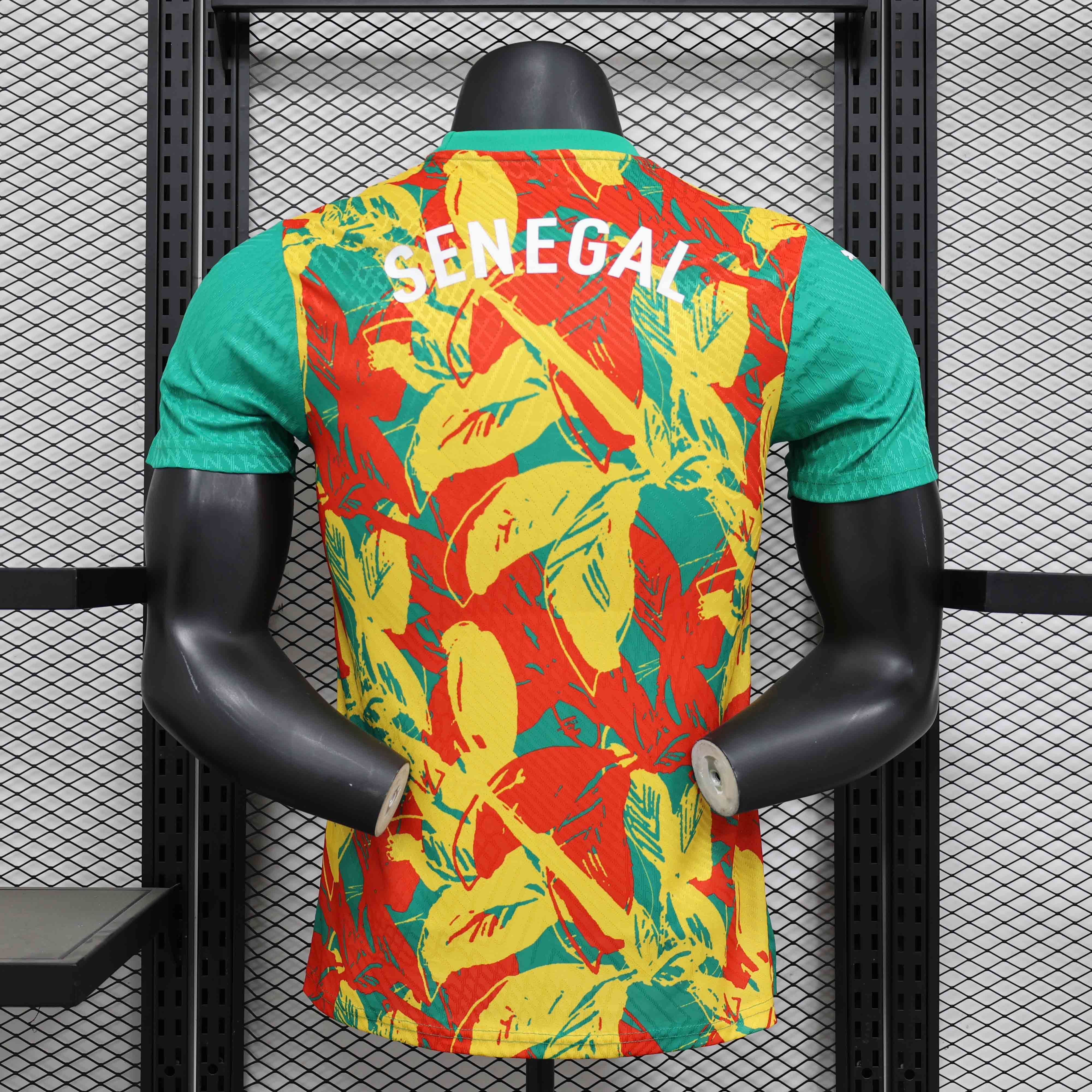 25-26 season Senegal team pre-match jersey