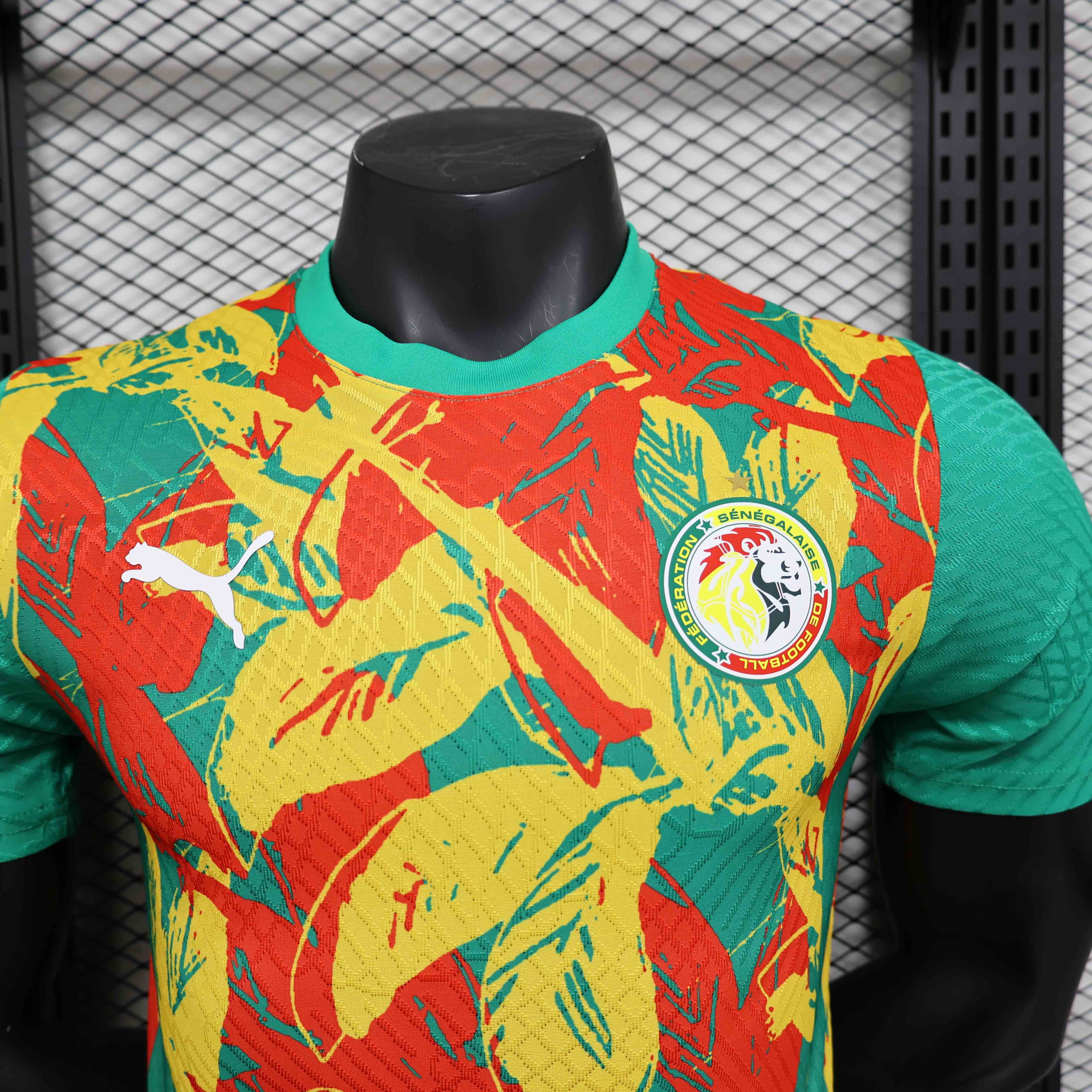 25-26 season Senegal team pre-match jersey