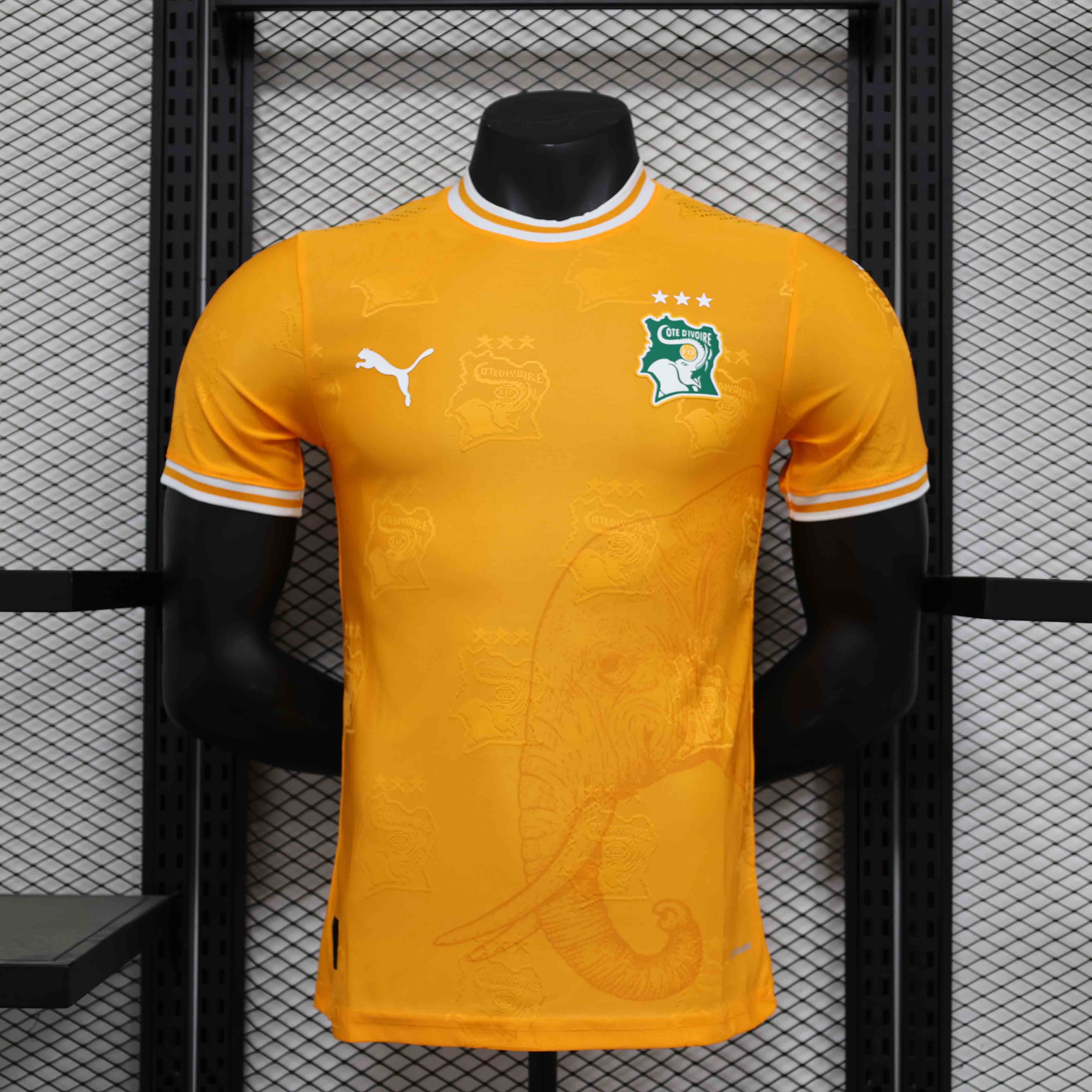 24-25 season Ivory Coast orange jersey player version