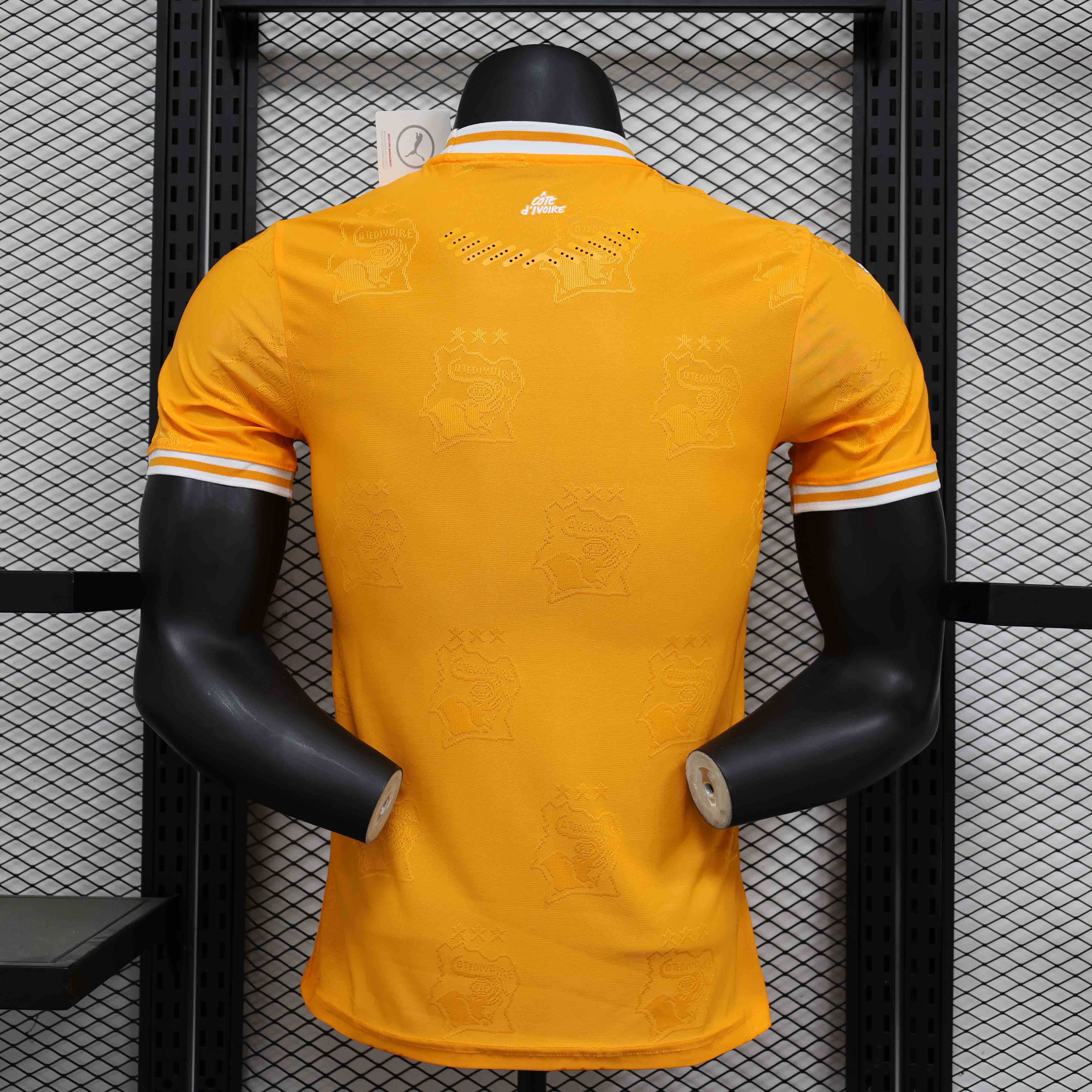 24-25 season Ivory Coast orange jersey player version