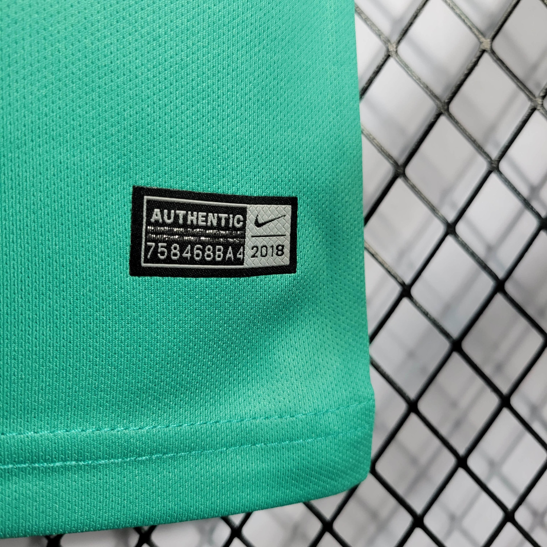 18/19 Tottenham Hotspur third jersey