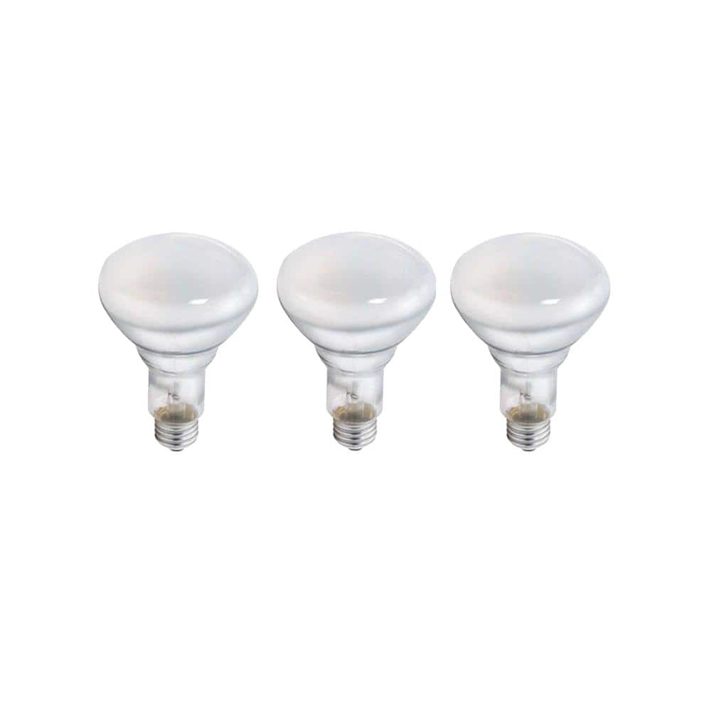 Philips 45-Watt BR30 Incandescent DuraMax Flood Light Bulb, Soft White 2700K (3-Pack)