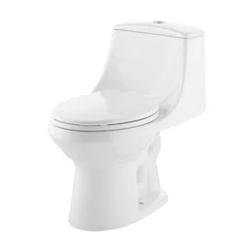 Jacuzzi Primo White WaterSense Dual Flush Elongated Chair Height Toilet 12-in Rough-In Size