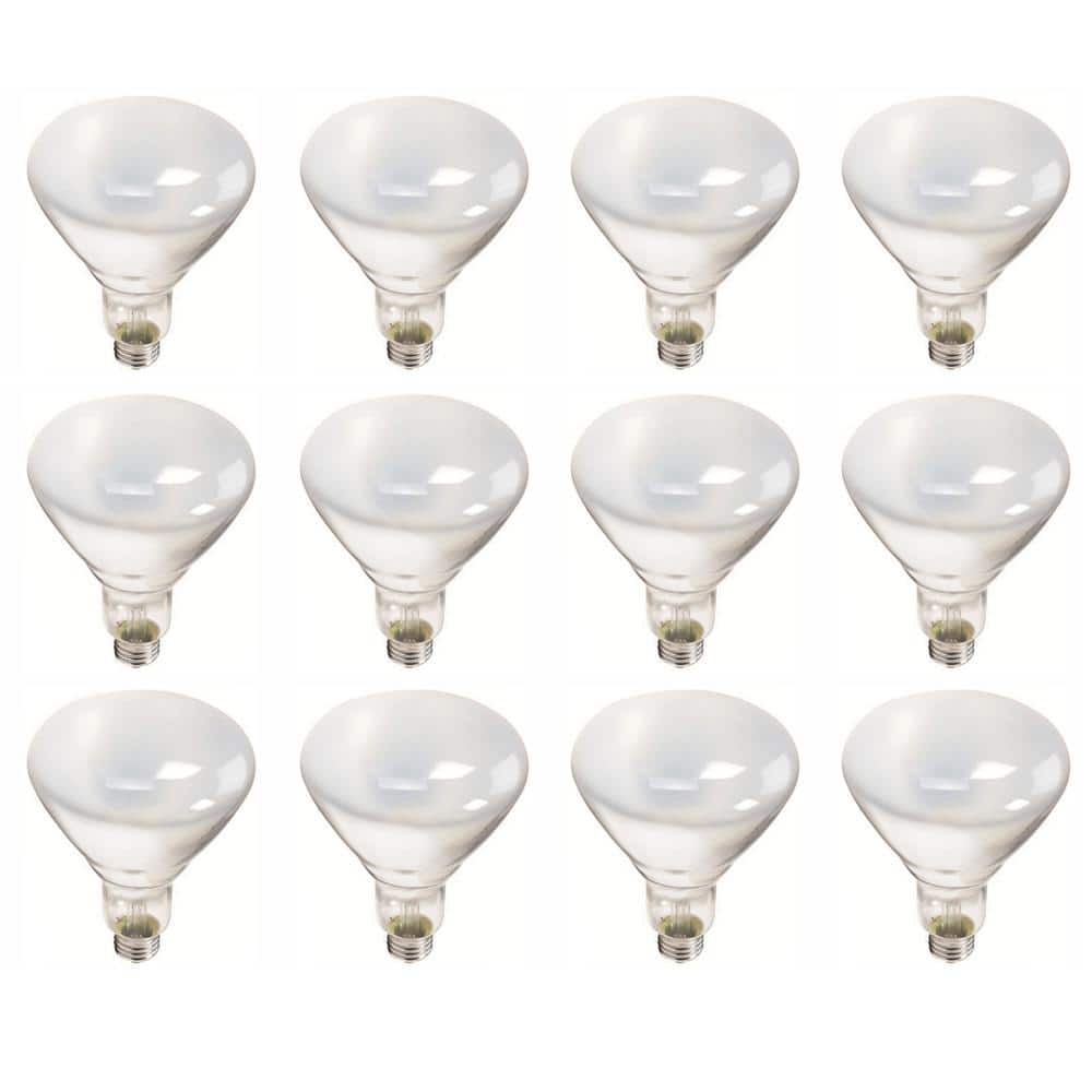 Philips 65-Watt BR40 Incandescent Flood Light Bulb, Soft White 2700K (12-Pack)