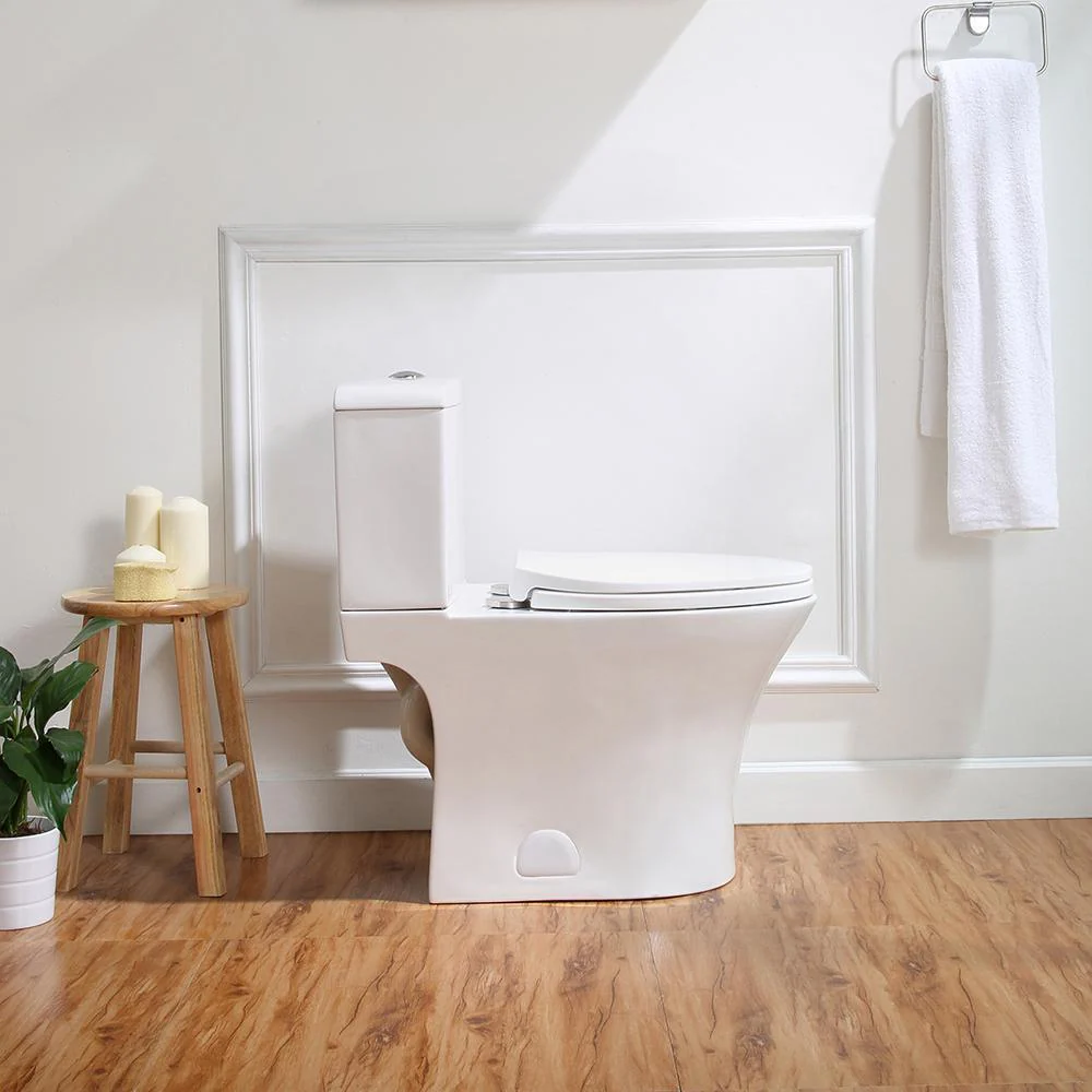 Beck 2-Piece 1/1.6 GPF Dual Flush Elongated Toilet in White, Seat Included