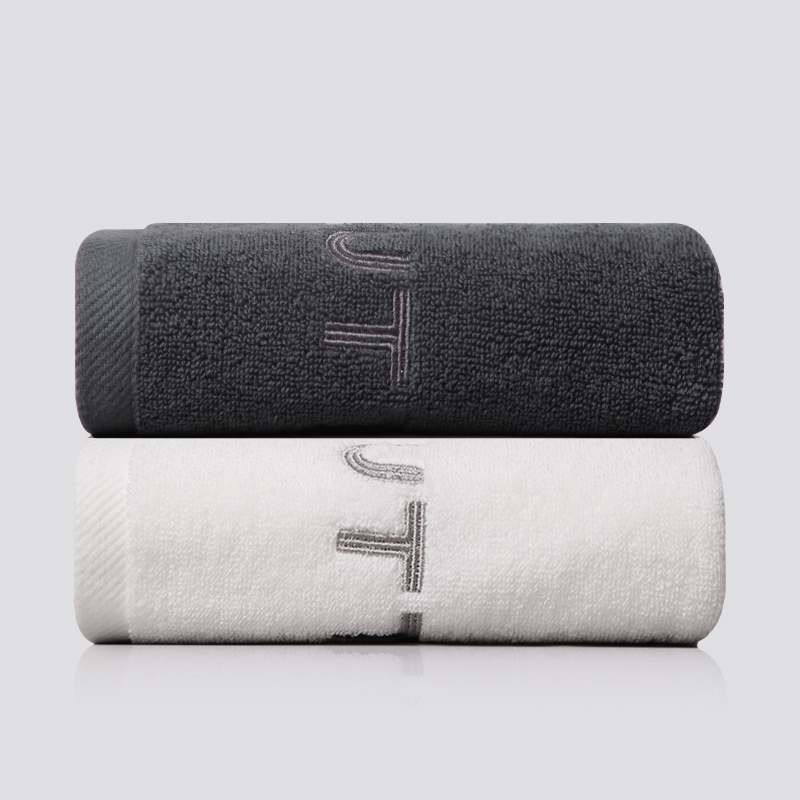 Seattle 100% cotton towel 2-pack