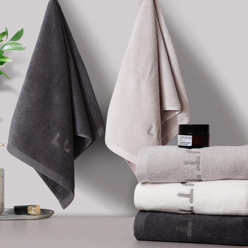 Seattle 100% cotton towel 2-pack