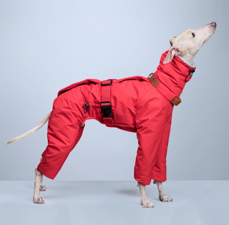 Full-Coverage 4-Leg Dog Raincoat