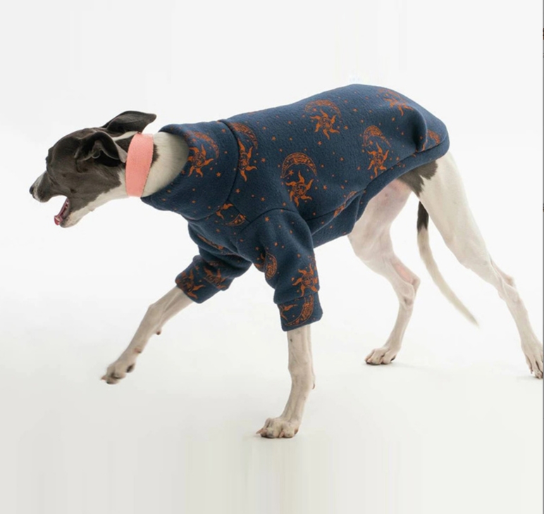Clothes Flexible T Shirts Whippet for Dogs