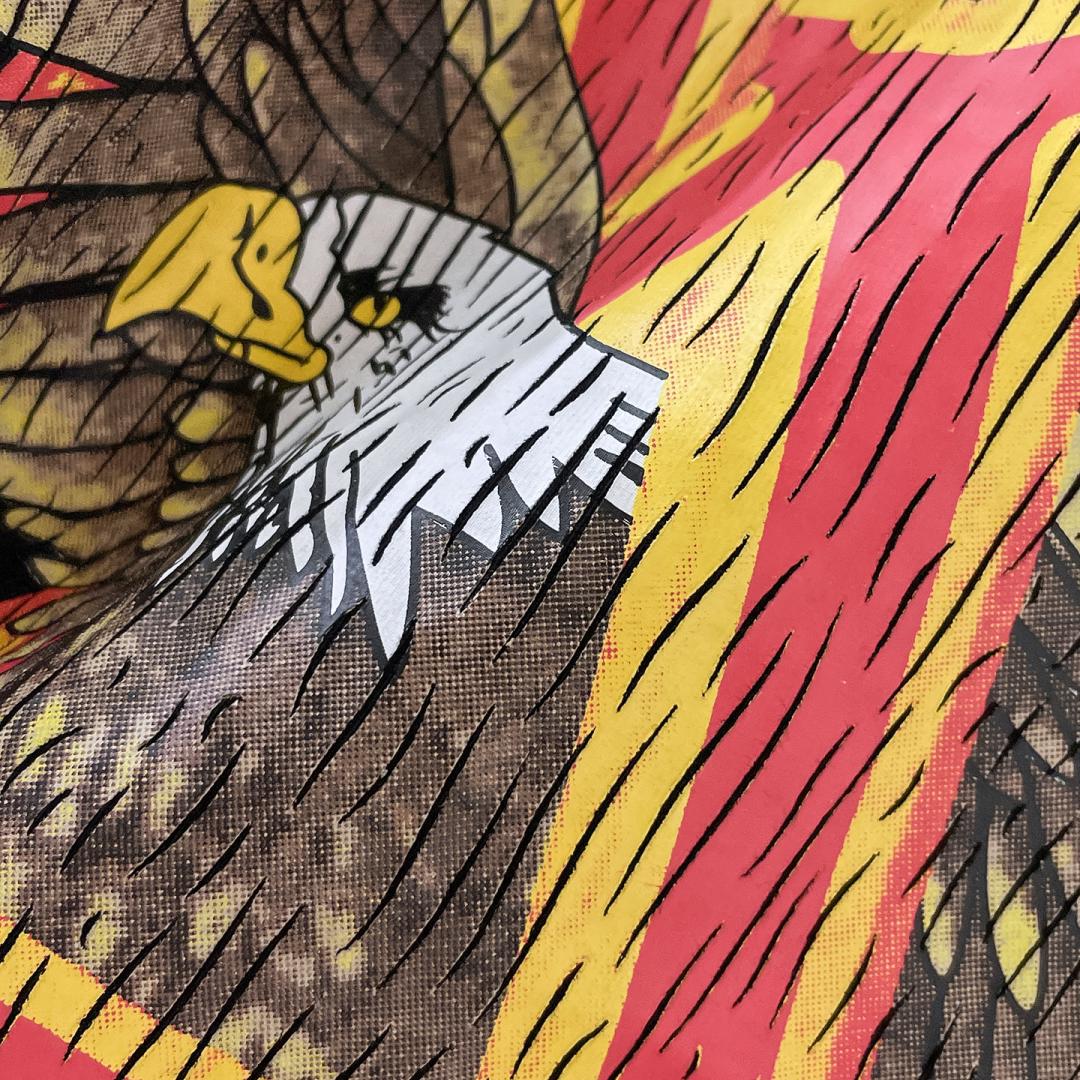 Cracked Eagle T-shirt