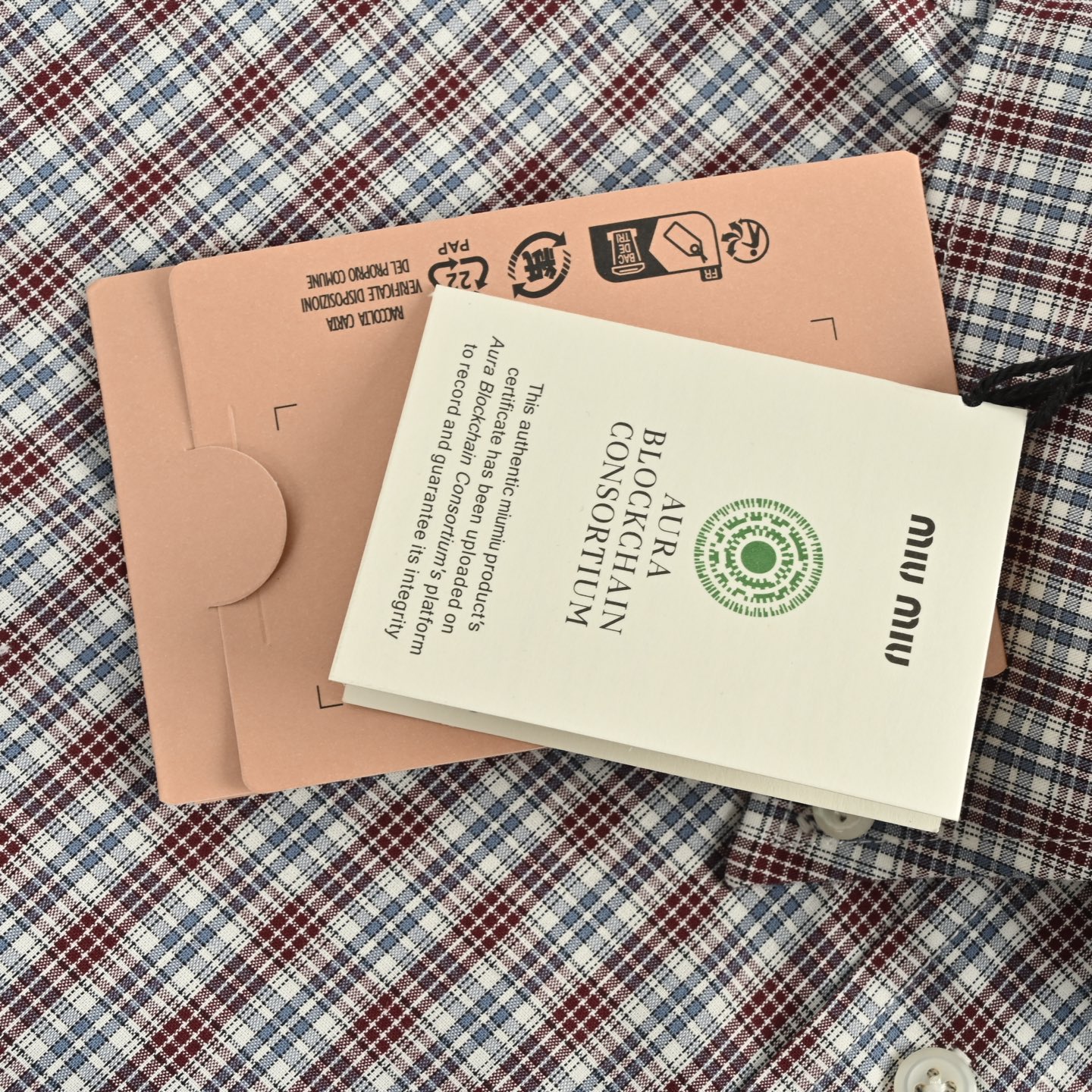 Brown and blue check long-sleeved shirt