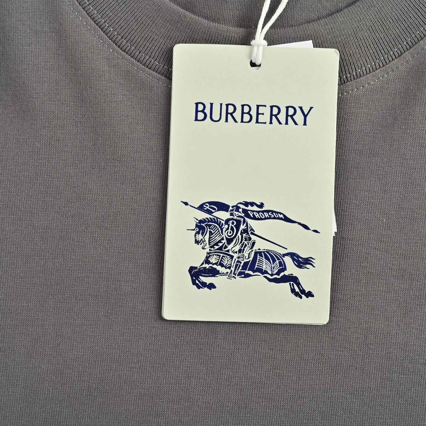 25ss Overlapping Warhorse Logo Printed Short Sleeve T-shirt