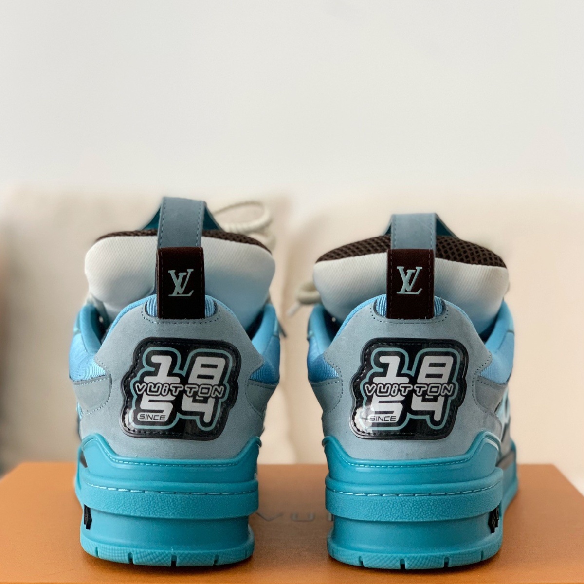 Skate Trainer Blue Brown