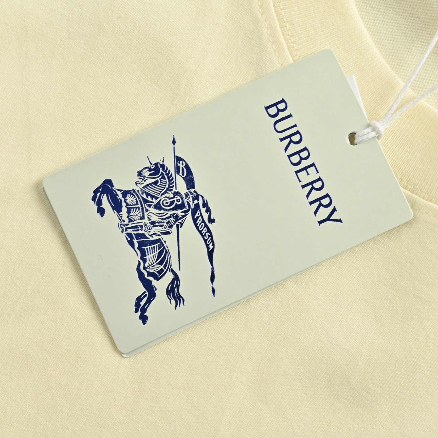 25ss Overlapping Warhorse Logo Printed Short Sleeve T-shirt