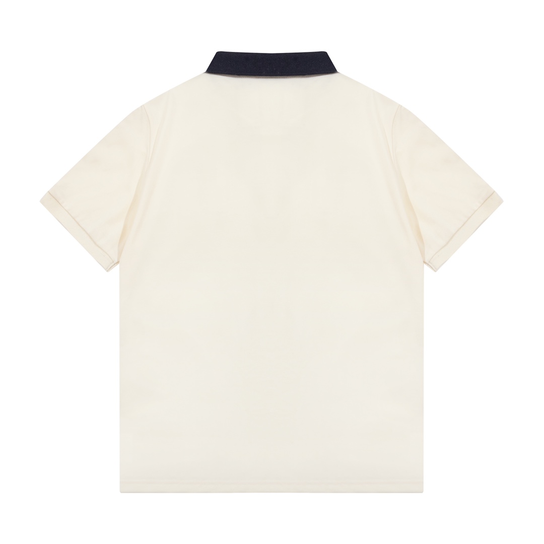 Embroidered Web Colorblock Polo Shirt