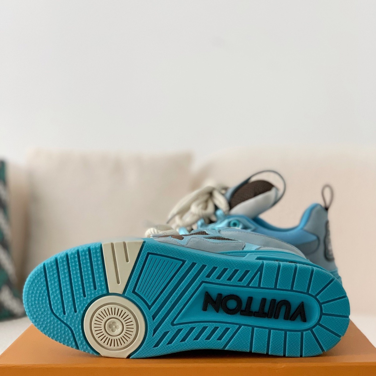 Skate Trainer Blue Brown