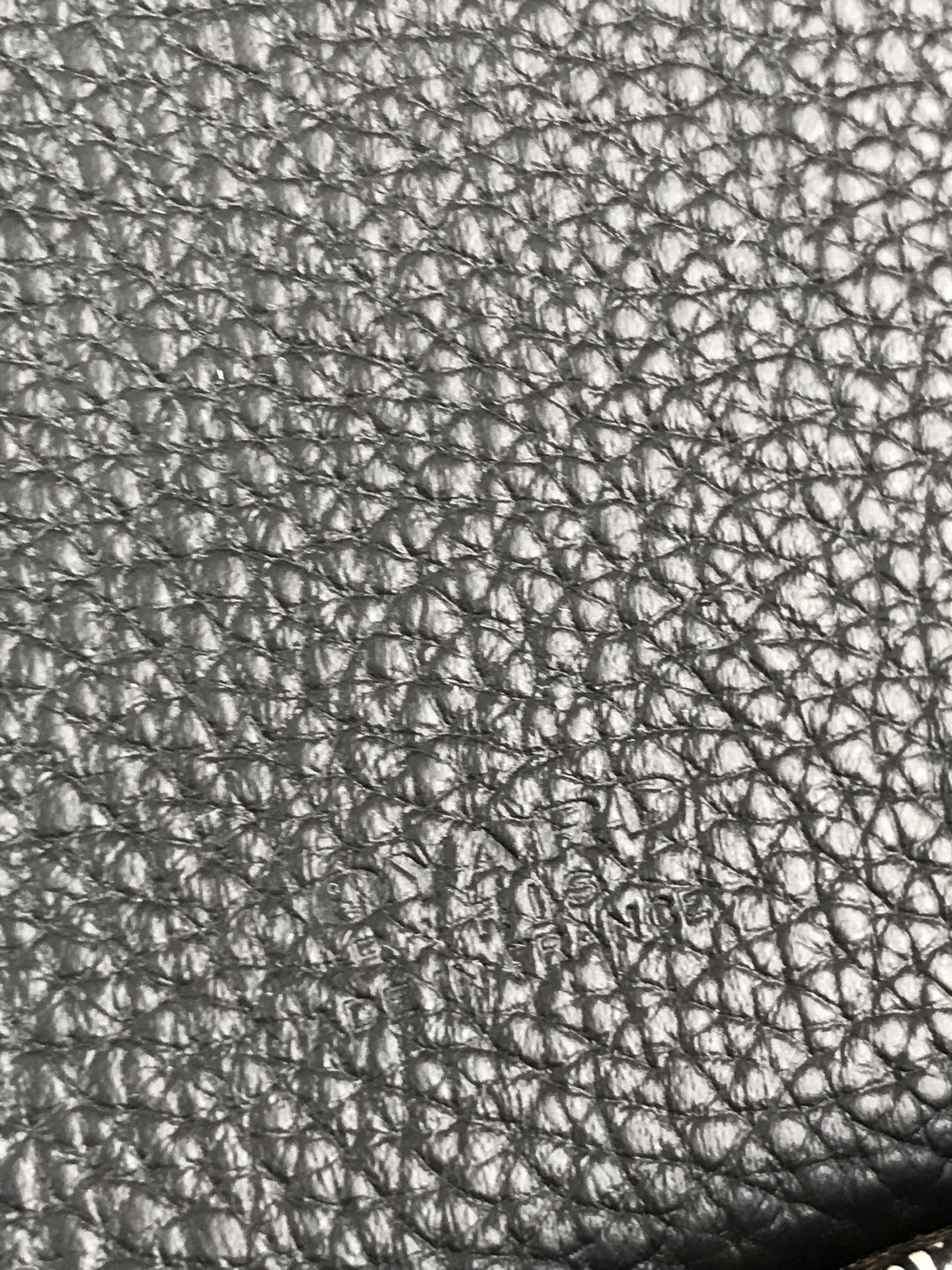 Black legant Canvas and Lambskin