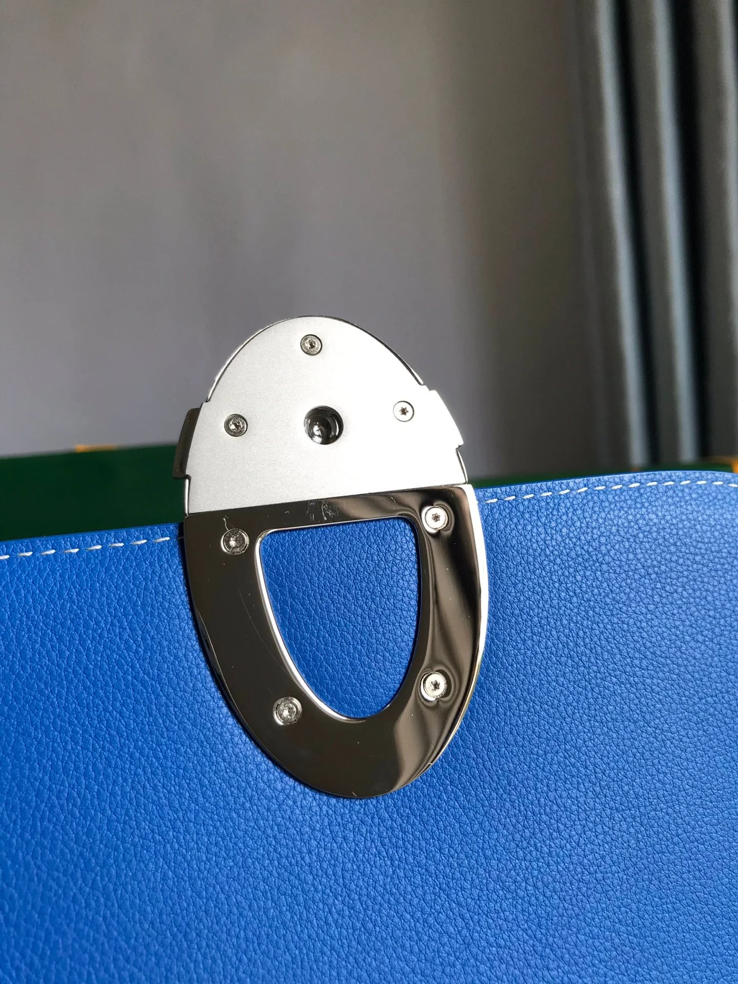 Blue Calfskin Canvas Bag