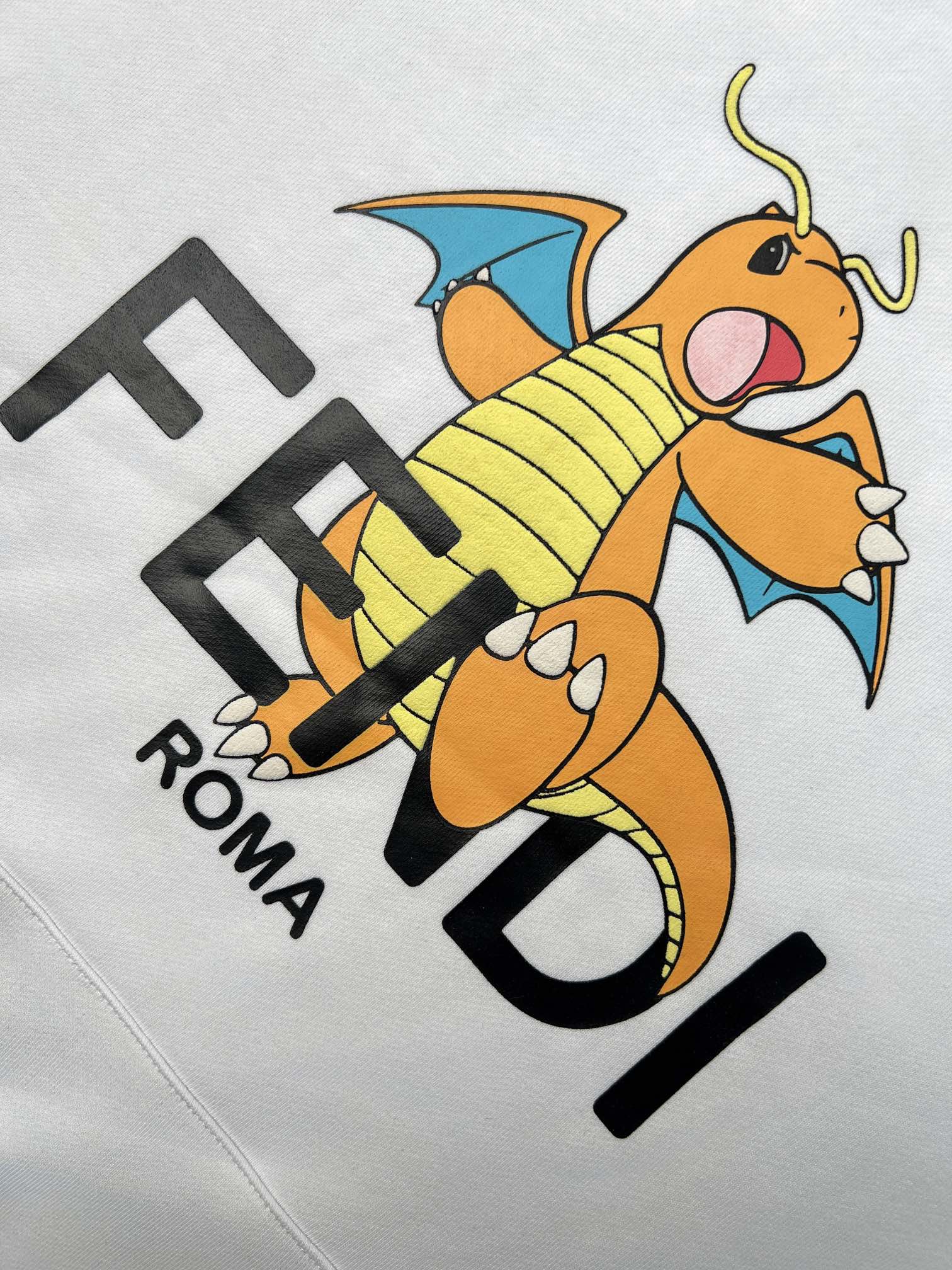 Pokémon Dragon Hoodie