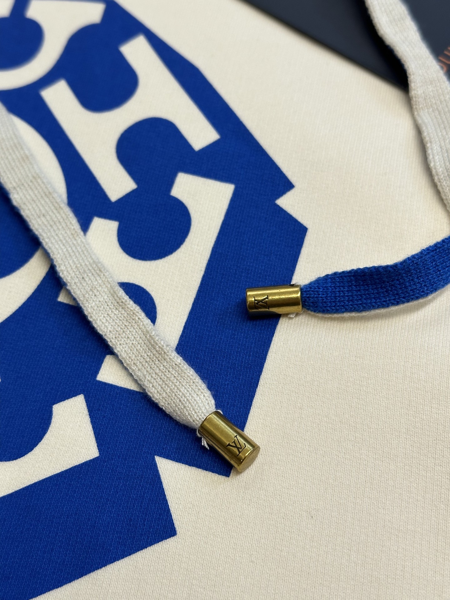 Blue Floral Print Hoodie