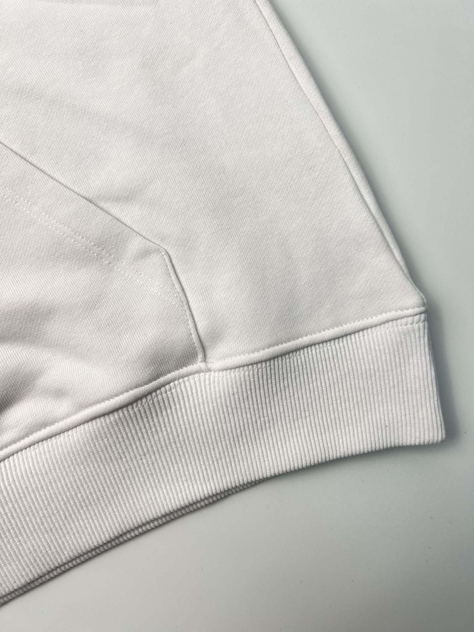 Pokémon Dragon Hoodie