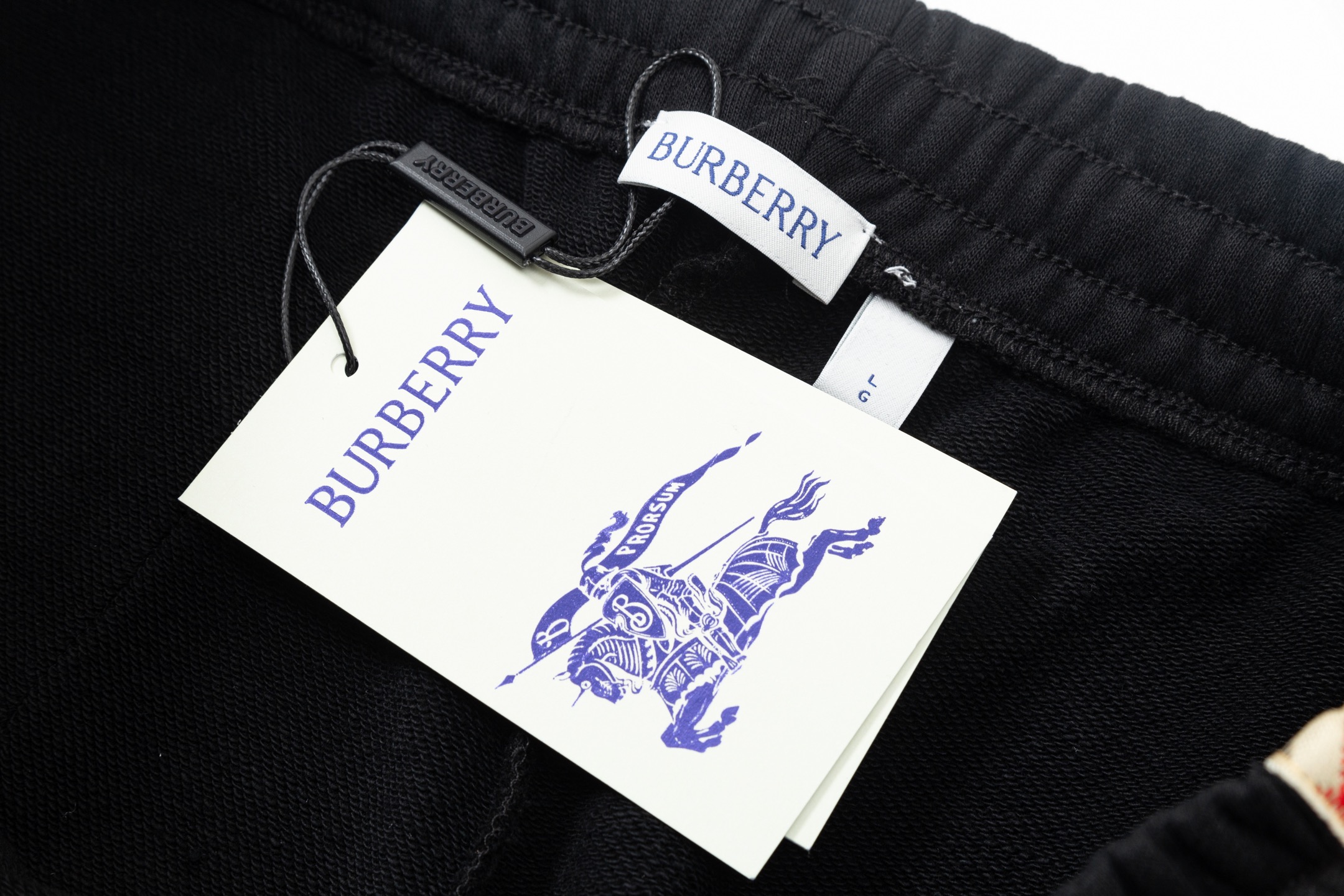 Webbing Patchwork Embroidered Shorts