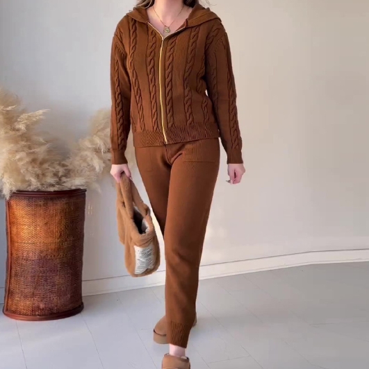 Solid Fried Dough Twists Hooded Zipper Top Casual Home Set