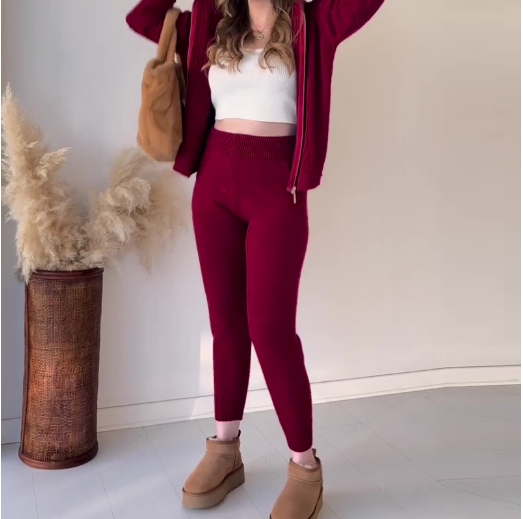 Solid Fried Dough Twists Hooded Zipper Top Casual Home Set