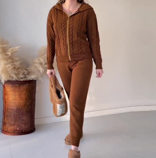 Solid Fried Dough Twists Hooded Zipper Top Casual Home Set