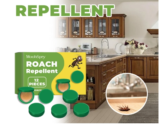 Household dormitory kitchen bedroom cleaning, cockroach extermination, cockroach repellent