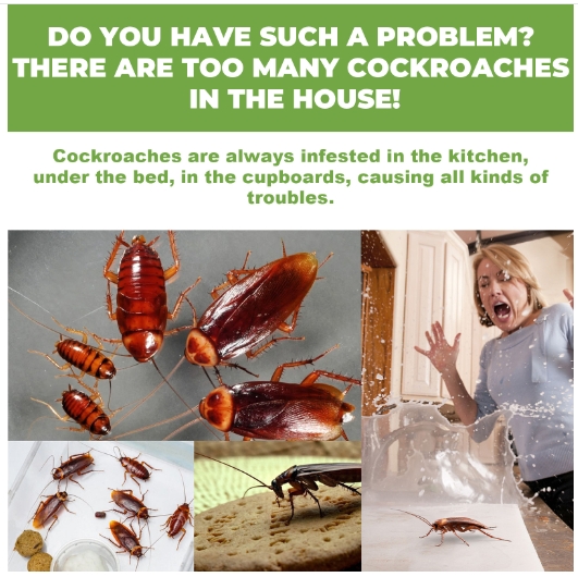 Household dormitory kitchen bedroom cleaning, cockroach extermination, cockroach repellent