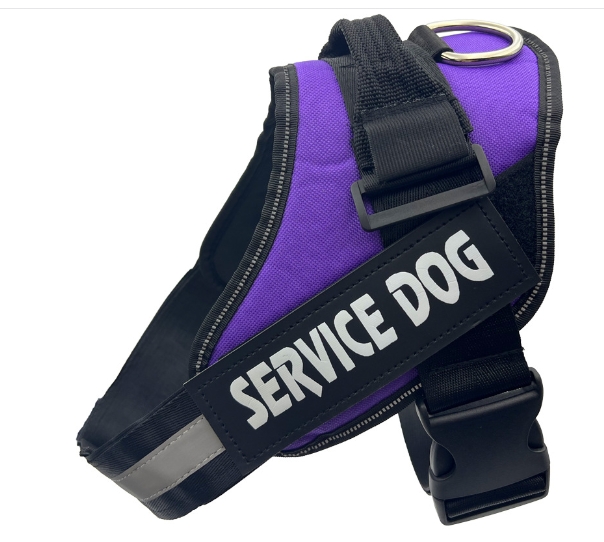 Medium and large dog chest harness, dog supplies, traction rope