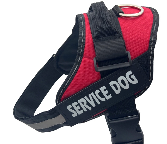 Medium and large dog chest harness, dog supplies, traction rope