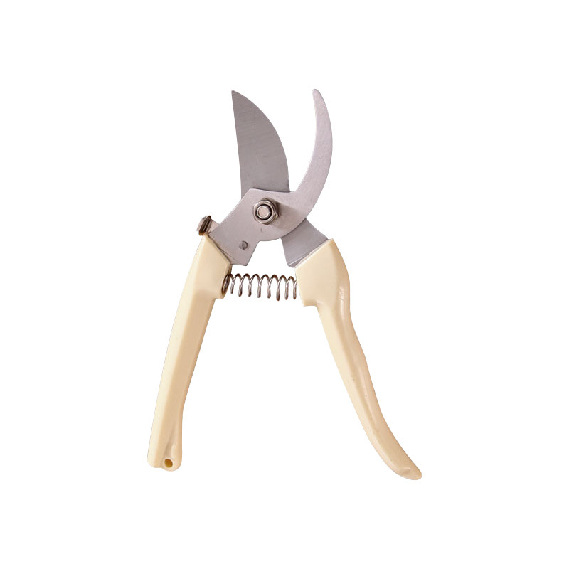 Household fruit tree scissors, pruning tools, flower and fruit picking scissors, tree branch scissors