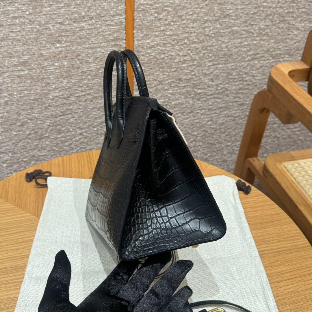 Hermès Birkin 20 black Matte Alligator