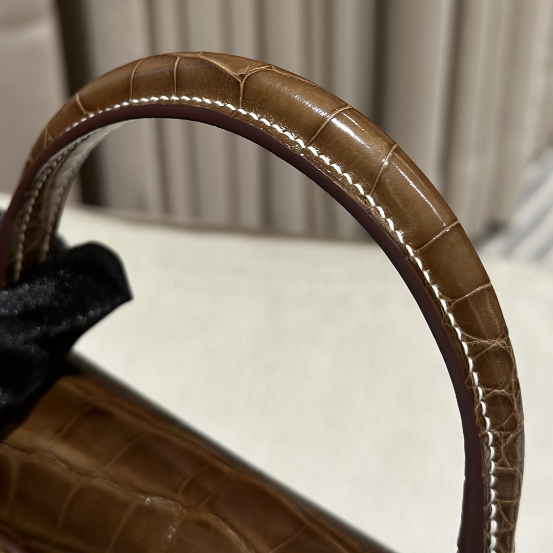 Hermès  Kelly 25 Ficelli  Alligator