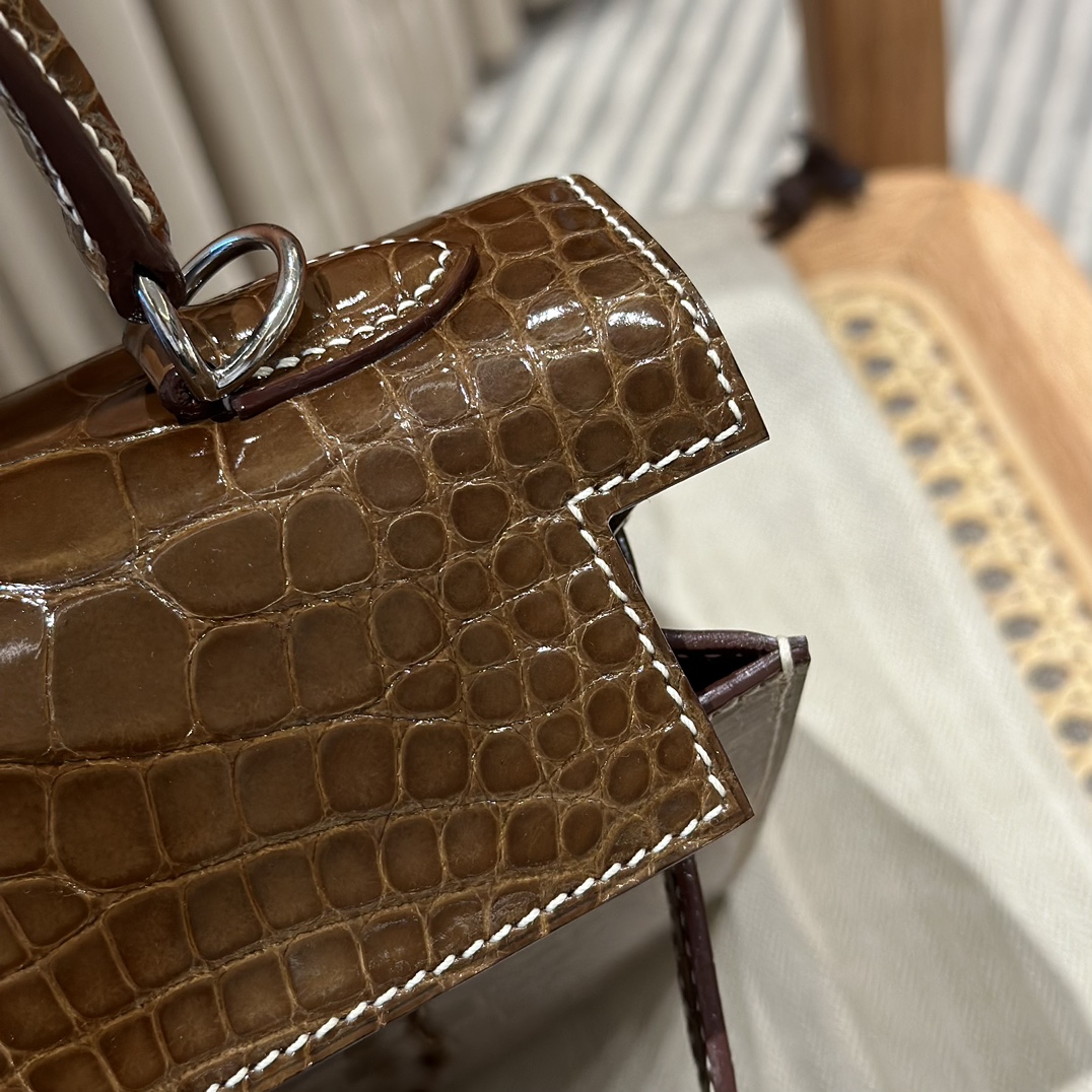 Hermès  Kelly 25 Ficelli  Alligator