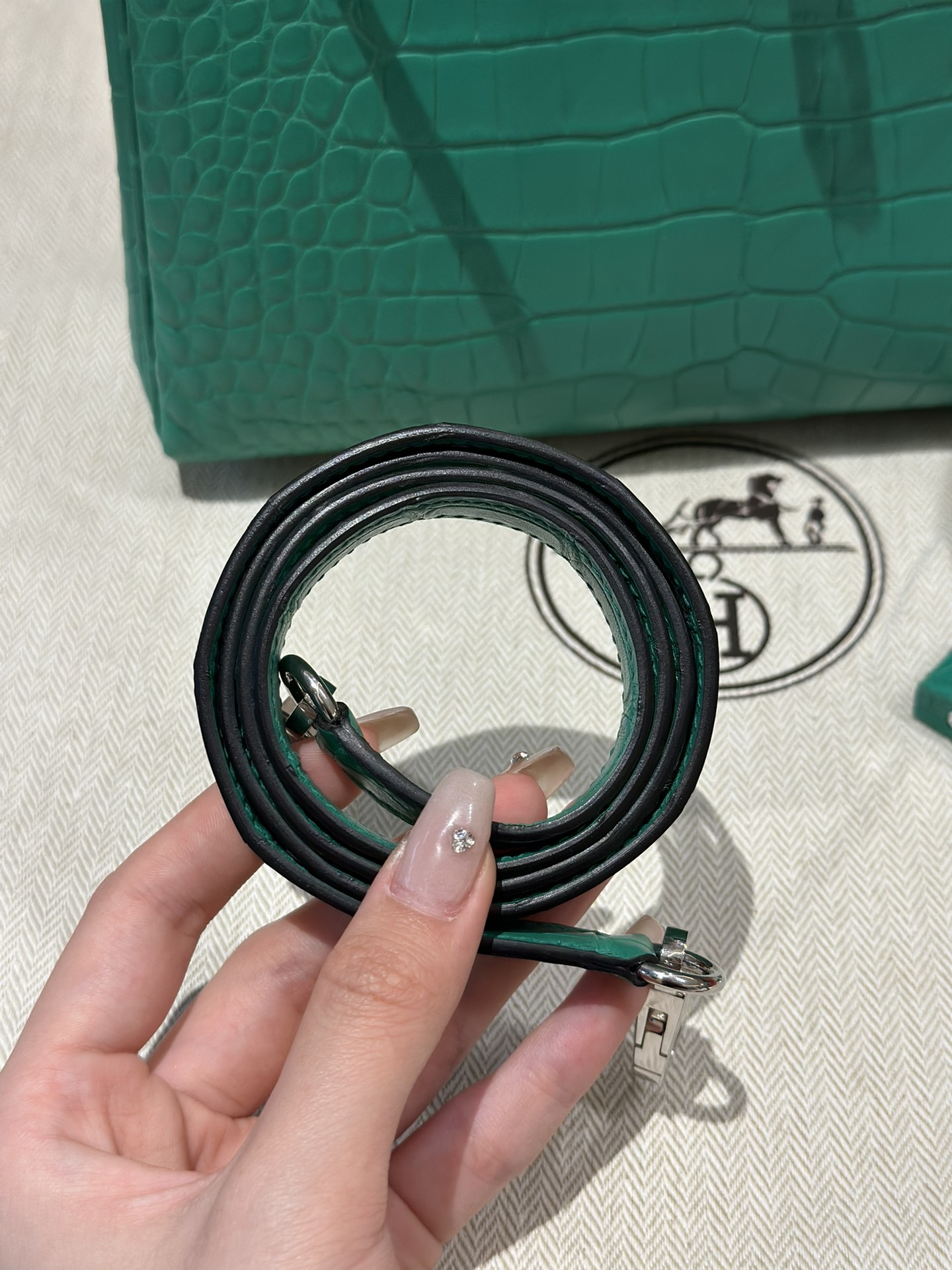 Hermès  Kelly 25 Vert comics  frosted crocodile skin