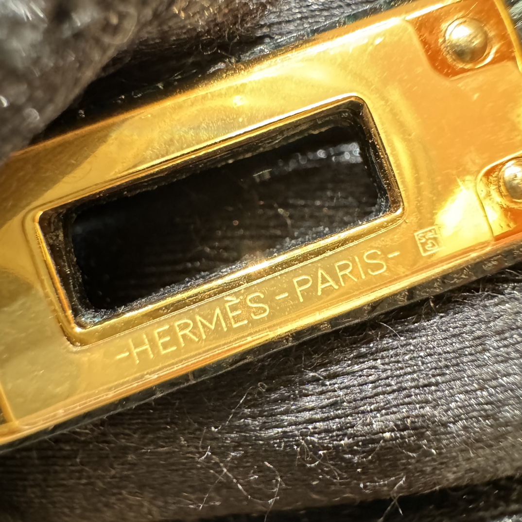 Hermès Birkin 20  Vert cypres Lizard imported