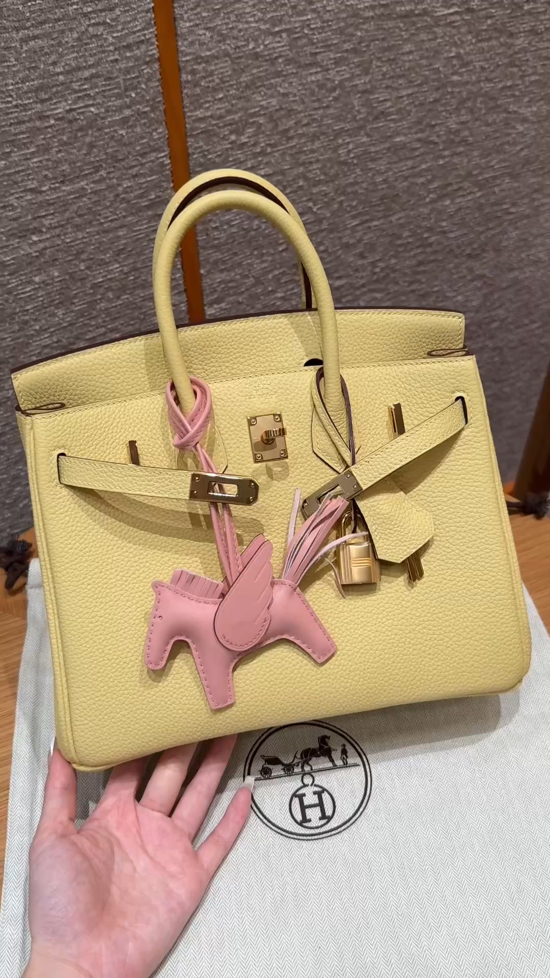 Hermès Birkin 25 Jaune Poussin Togo