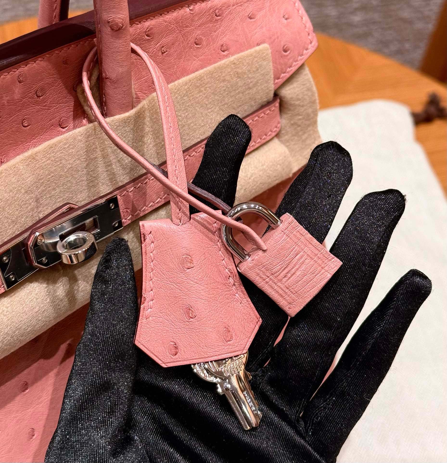 Hermès Birkin 25 Terre Cuite KK ostrich imported