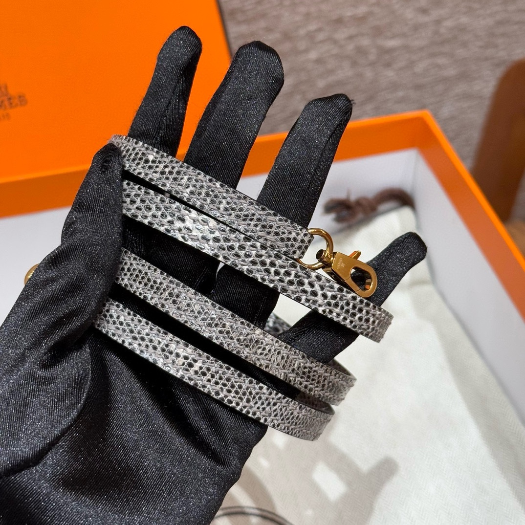 Hermès  Mini Kelly2 Size19 Ombre Lizard imported