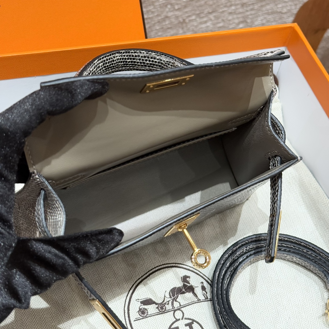 Hermès  Mini Kelly2 Size19 Ombre Lizard imported